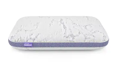 Подушка Immuno Technology 2.0 + чехол Protect-a-bed Tencel картинка - 1 - превью
