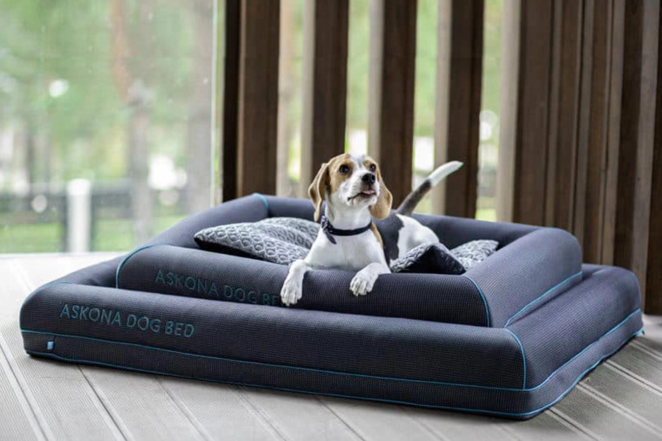  İt üçün döşək-yataq Dog Bed - 2 - большое изображение